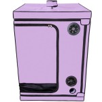 SECRET DOME - KINK CLUB CABINE SCANDALE PURPLE